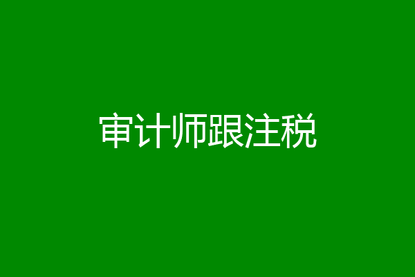审计师跟注税