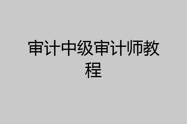 审计中级审计师教程