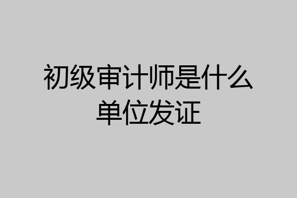 初级审计师是什么单位发证