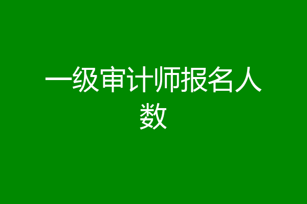 一级审计师报名人数