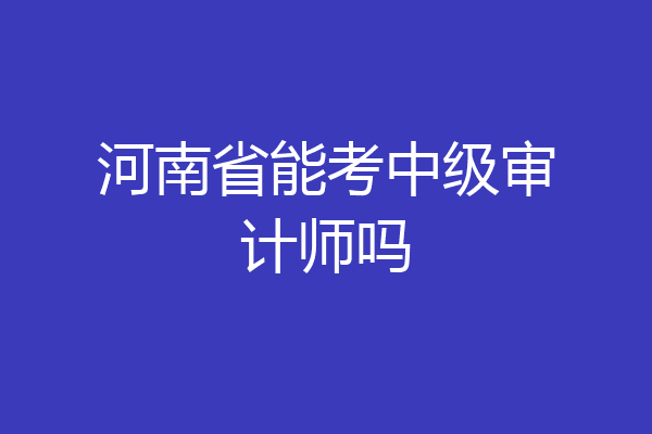 河南省能考中级审计师吗
