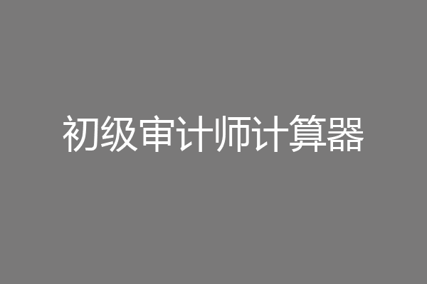 初级审计师计算器