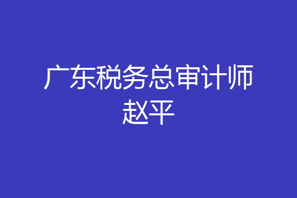 广东税务总审计师赵平