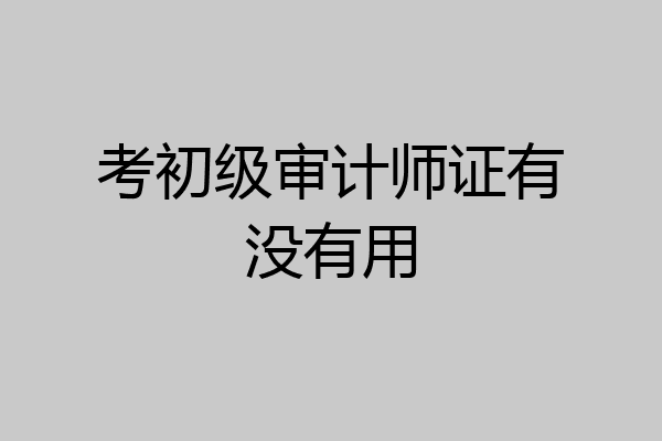 考初级审计师证有没有用