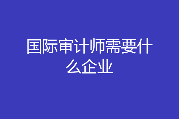 国际审计师需要什么企业