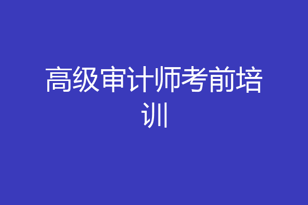 高级审计师考前培训