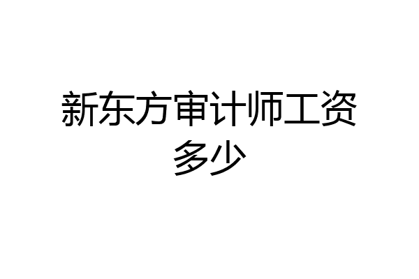 新东方审计师工资多少