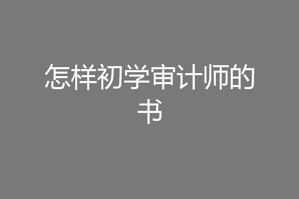 怎样初学审计师的书