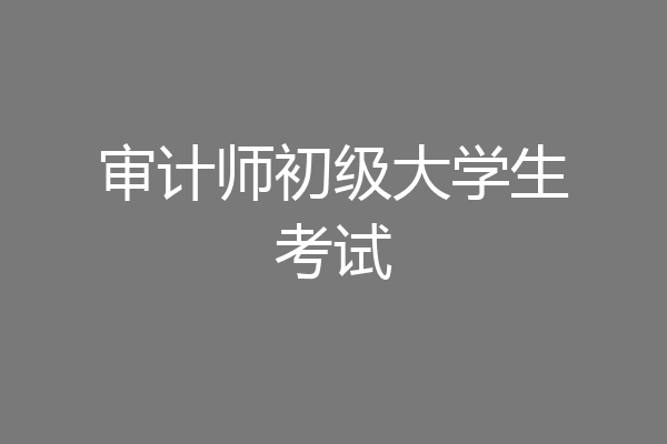 审计师初级大学生考试