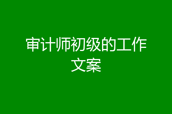 审计师初级的工作文案