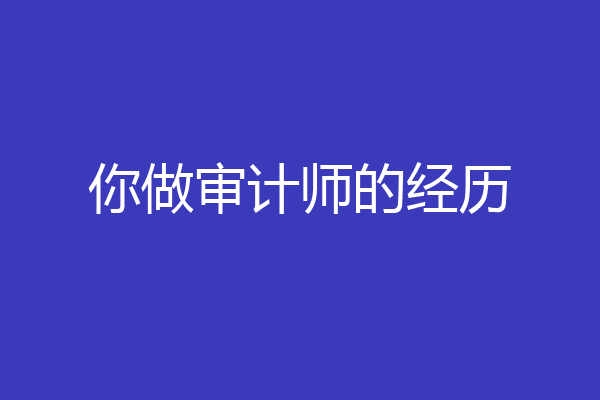 你做审计师的经历