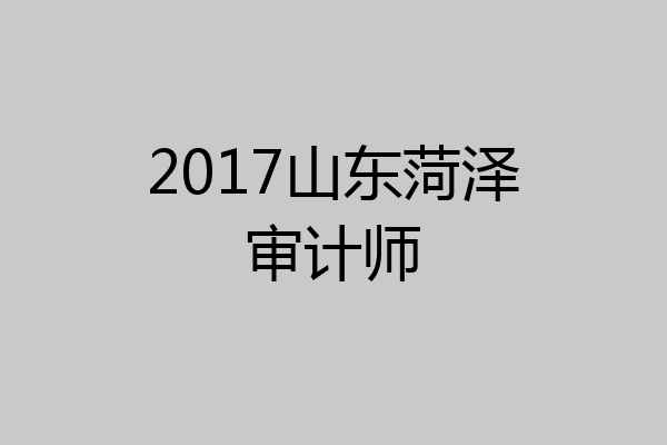 2017山东菏泽审计师