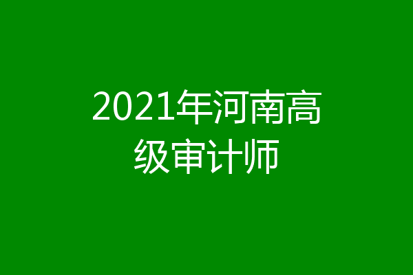 2021年河南高级审计师