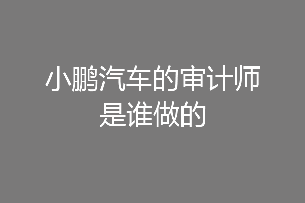 小鹏汽车的审计师是谁做的