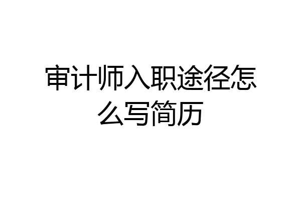 审计师入职途径怎么写简历