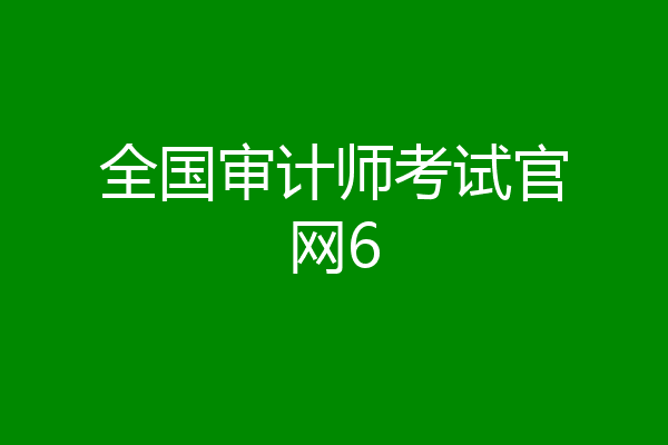 全国审计师考试官网6