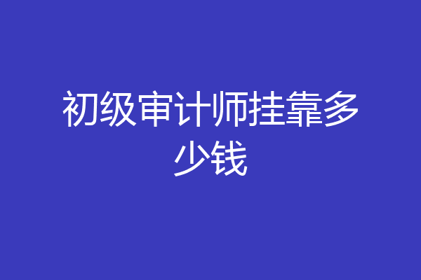 初级审计师挂靠多少钱