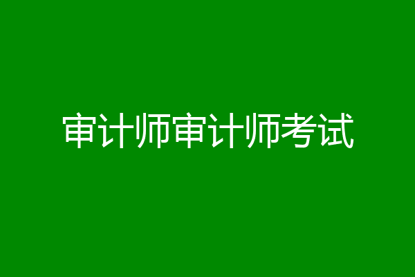 审计师审计师考试