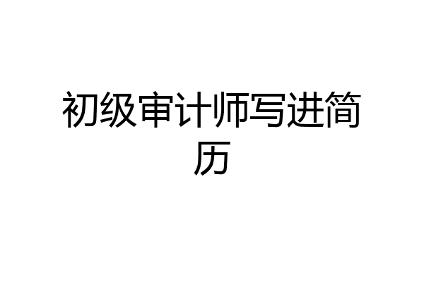 初级审计师写进简历