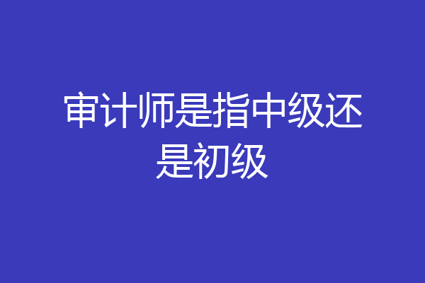 审计师是指中级还是初级