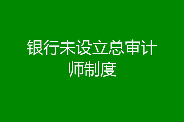 银行未设立总审计师制度
