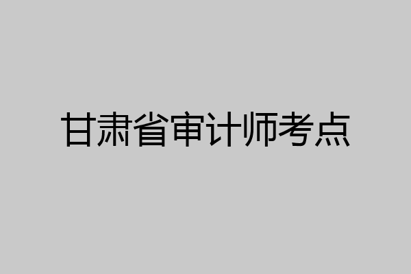 甘肃省审计师考点