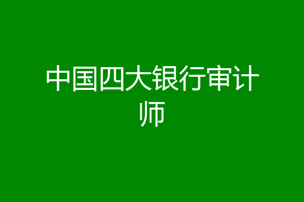 中国四大银行审计师