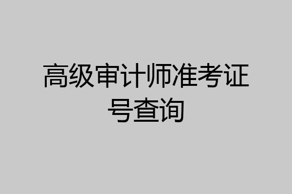 高级审计师准考证号查询