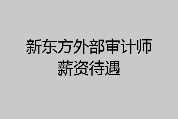 新东方外部审计师薪资待遇