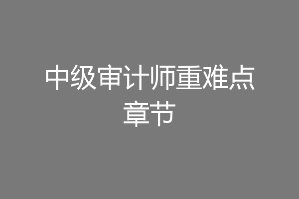 中级审计师重难点章节