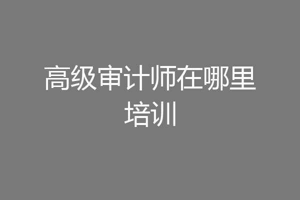 高级审计师在哪里培训