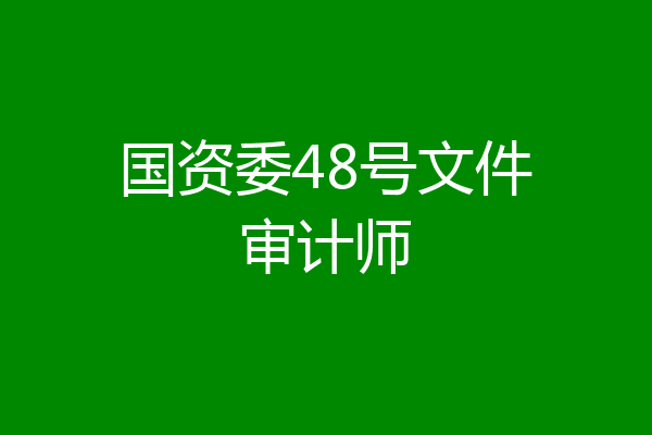 国资委48号文件审计师