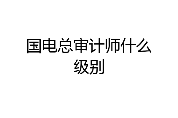 国电总审计师什么级别