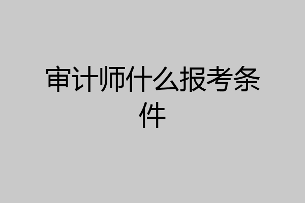 审计师什么报考条件