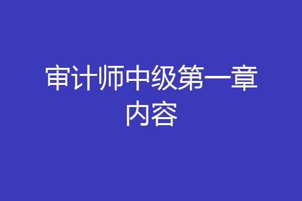 审计师中级第一章内容