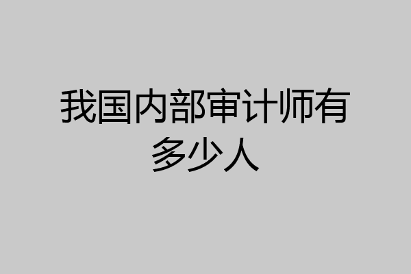 我国内部审计师有多少人