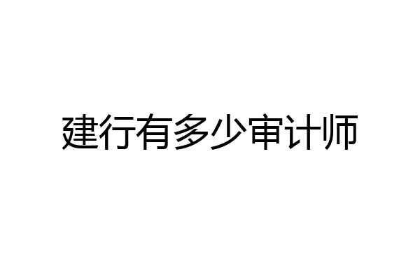 建行有多少审计师