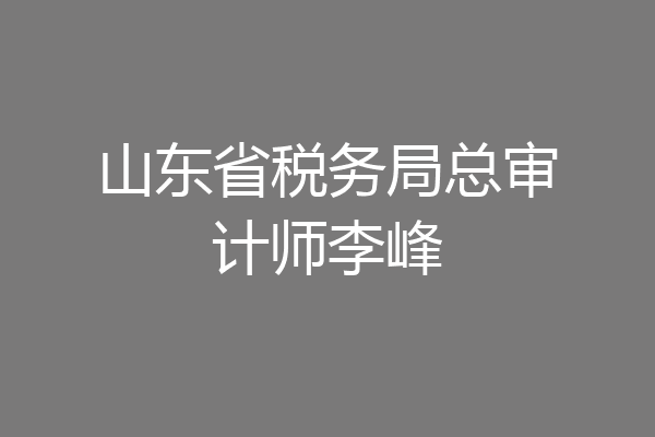 山东省税务局总审计师李峰
