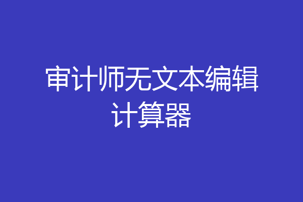 审计师无文本编辑计算器