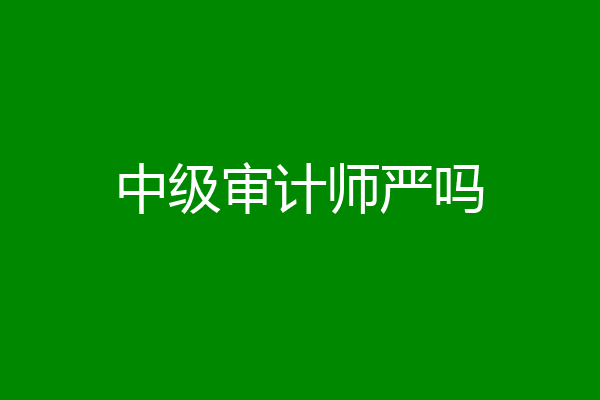 中级审计师严吗