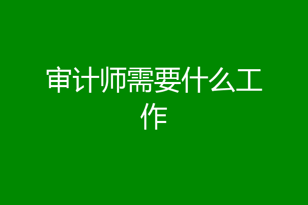 审计师需要什么工作