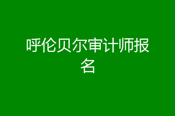 呼伦贝尔审计师报名