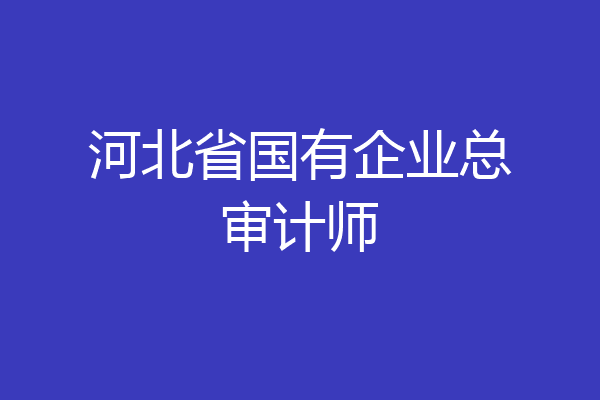 河北省国有企业总审计师
