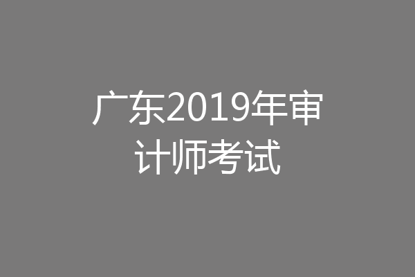 广东2019年审计师考试