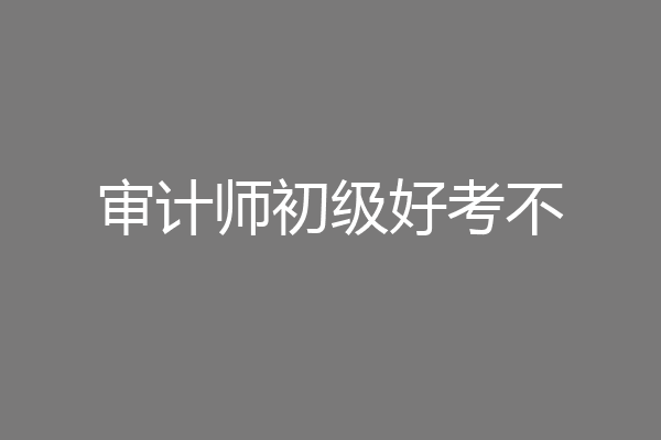 审计师初级好考不