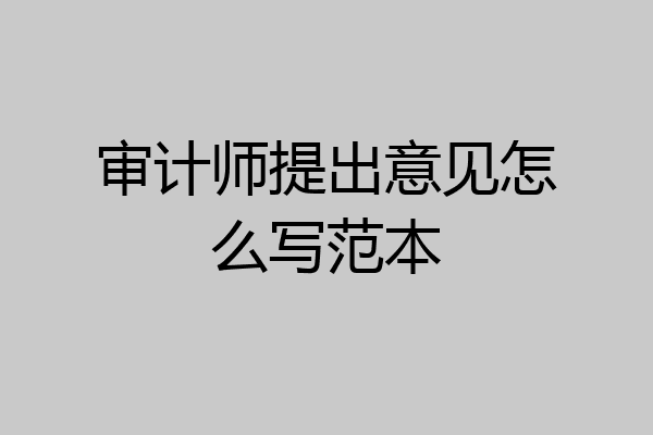 审计师提出意见怎么写范本