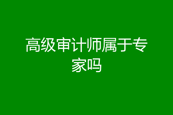 高级审计师属于专家吗