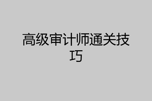 高级审计师通关技巧