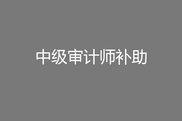 中级审计师补助