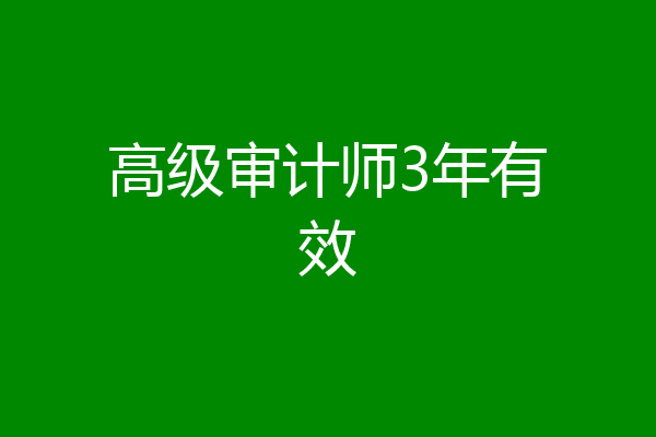高级审计师3年有效